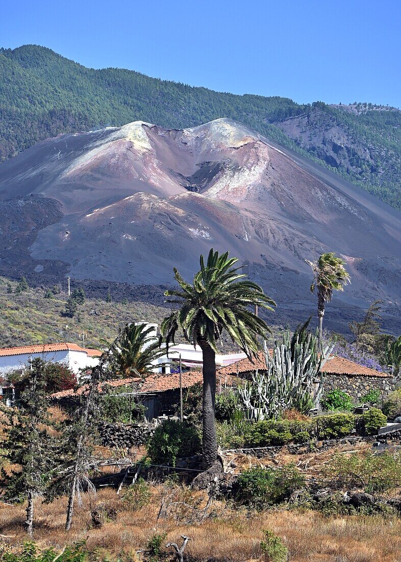 Neuer Vulkan Tajogaite, nach dem Ausbruch 2021,  Westküste La Palma, Kanarische Inseln, Spanien