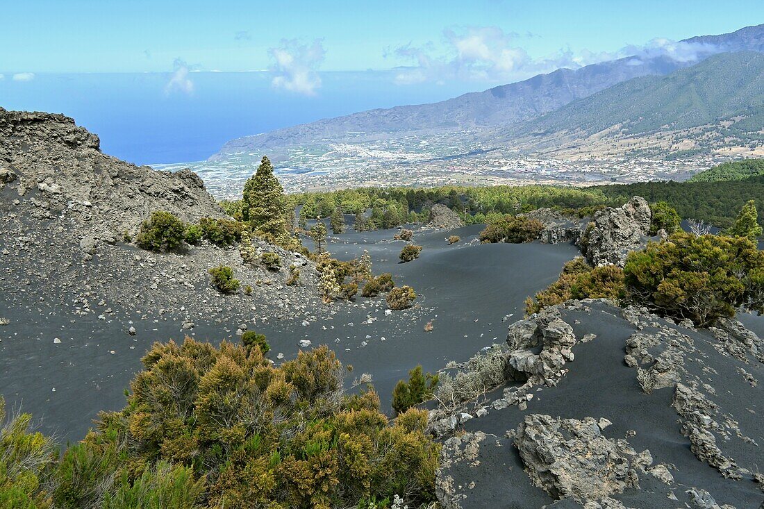 Lavafelder bei el Pilar  in der Cumbra Vieja, La Palma, Kanarische Inseln, Spanien