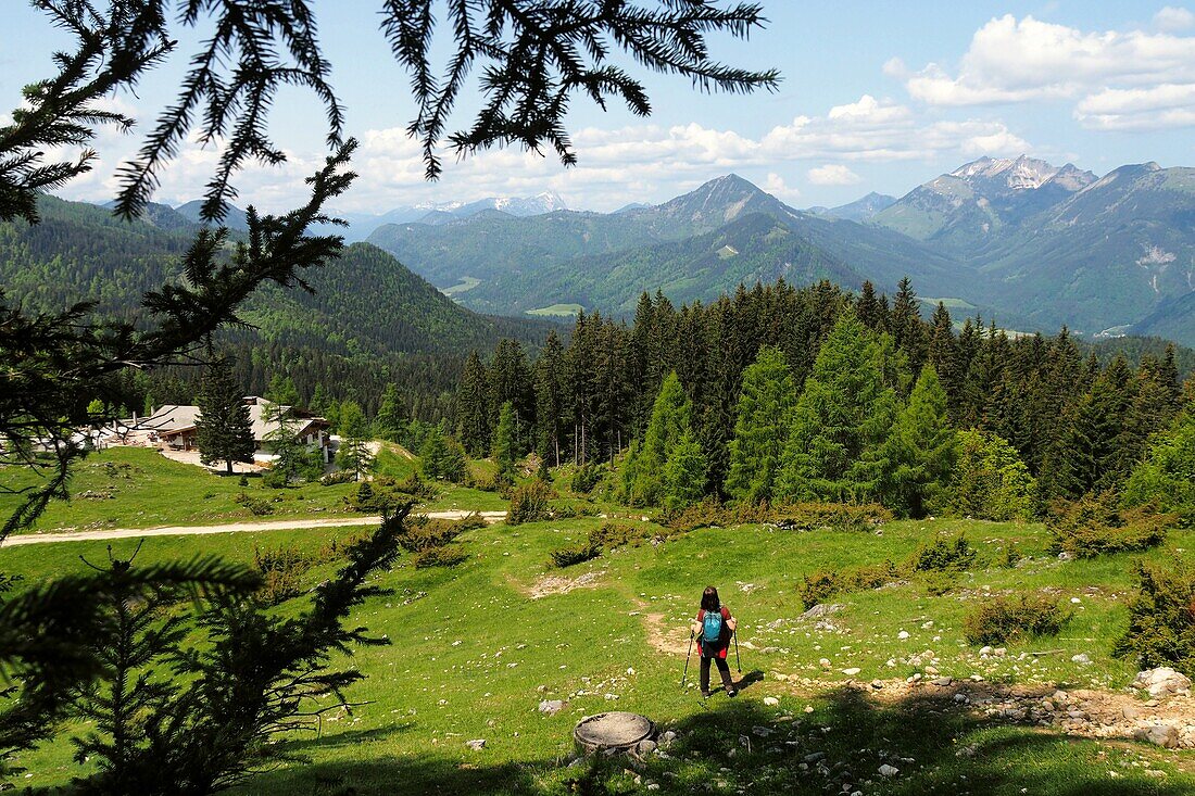 Kala-Alm, auf dem Pendling, Thierseetal über Kufstein, Tirol, Österreich