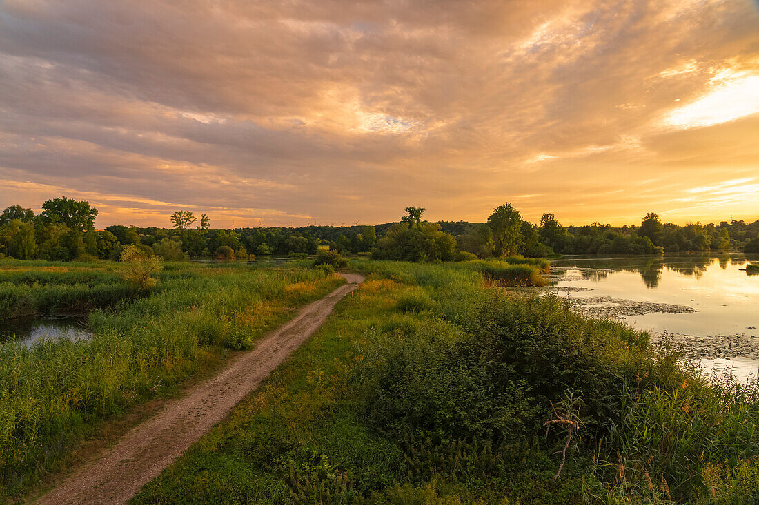 Sunset in the bird sanctuary NSG Garstadt near Heidenfeld in the district of Schweinfurt, Lower Franconia, Bavaria, Germany