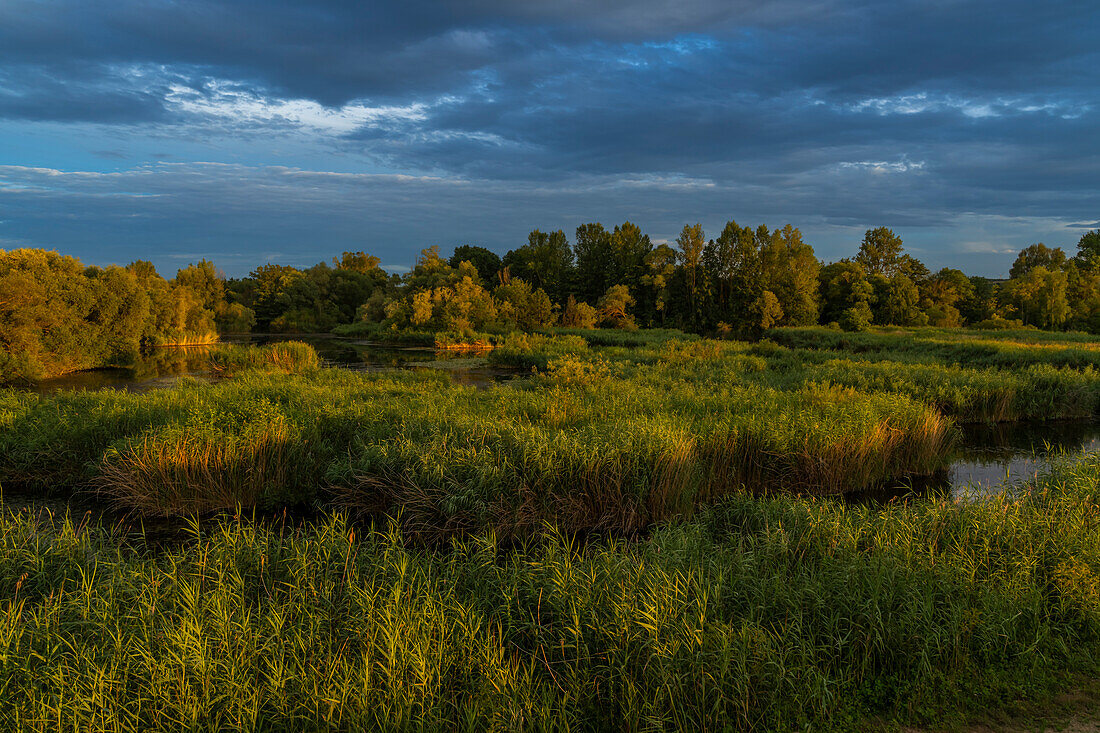 Sonnenuntergang im Vogelschutzgebiet NSG Garstadt bei Heidenfeld im Landkreis Schweinfurt, Unterfranken, Bayern, Deutschland\n