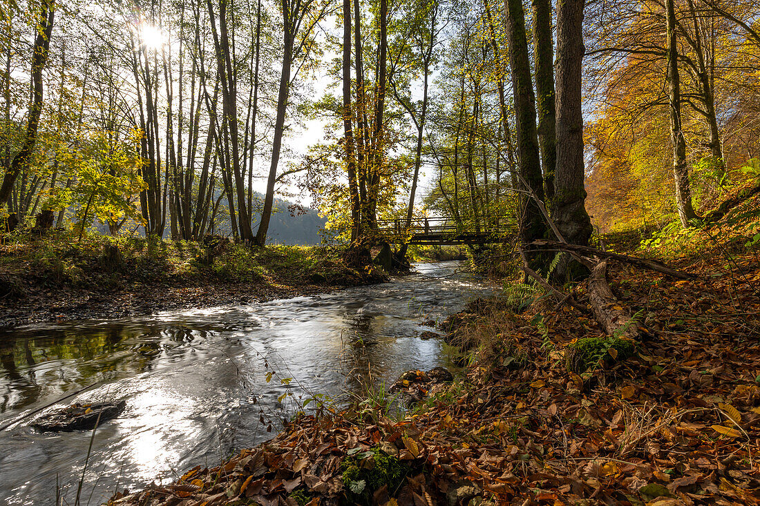 Die Schondra im Naturschutzgebiet Unteres Schondratal, zwischen der Gemeinde Heiligkreuz und Gräfendorf, im Biosphärenreservat Rhön und dem  Naturpark Spessart, Unterfranken, Franken, Bayern, Deutschland