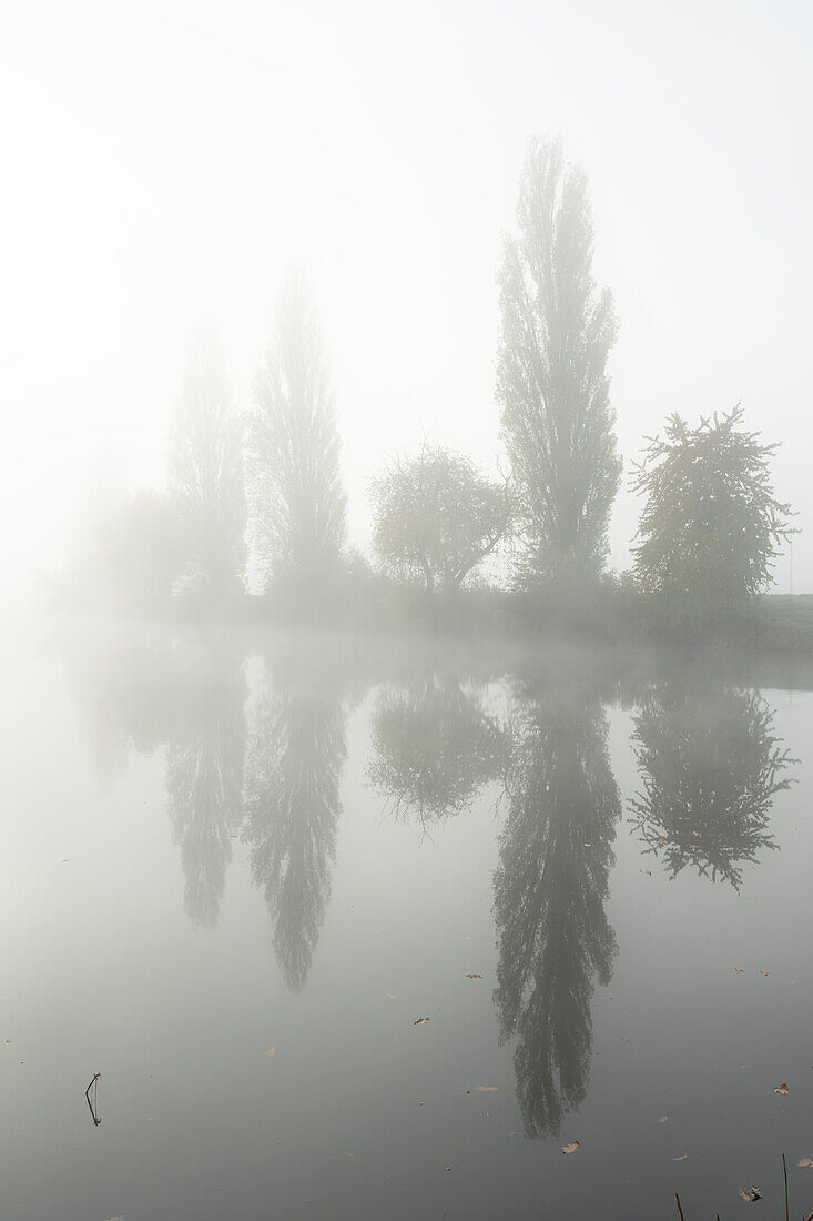 Sonnenaufgang im Nebel über den NSG Altmain bei Grafenrheinfeld, Landkreis Schweinfurt, Unterfranken, Franken, Bayern, Deutschland