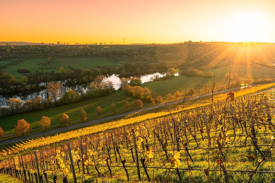 Sonnenuntergang über der Weinlage Volkacher Ratsherr zwischen Fahr am Main und Volkach an der Volkacher Mainschleife, Landkreis Kitzingen, Unterfanken, Bayern, Deutschland