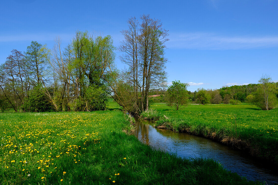 Die Baunachaue bei Pfarrweisach, Naturpark Haßberge, Landkreis Haßberge, Unterfranken, Franken, Bayern, Deutschland