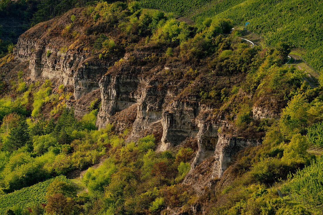 Mainprallhang unterhalb der Weinberge von Stetten und das Maintal zwischen Himmelstadt am Main und Karlstadt am Main, Landkreis Main-Spessart, Unterfranken, Bayern, Deutschland