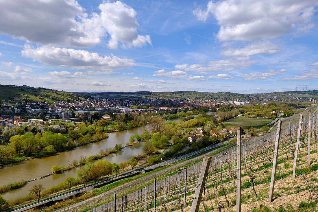 Weinberge und Landschaft beim Winzerort Randersacker am Main bei Würzburg, Landkreis Würzburg, Unterfanken, Bayern, Deutschland