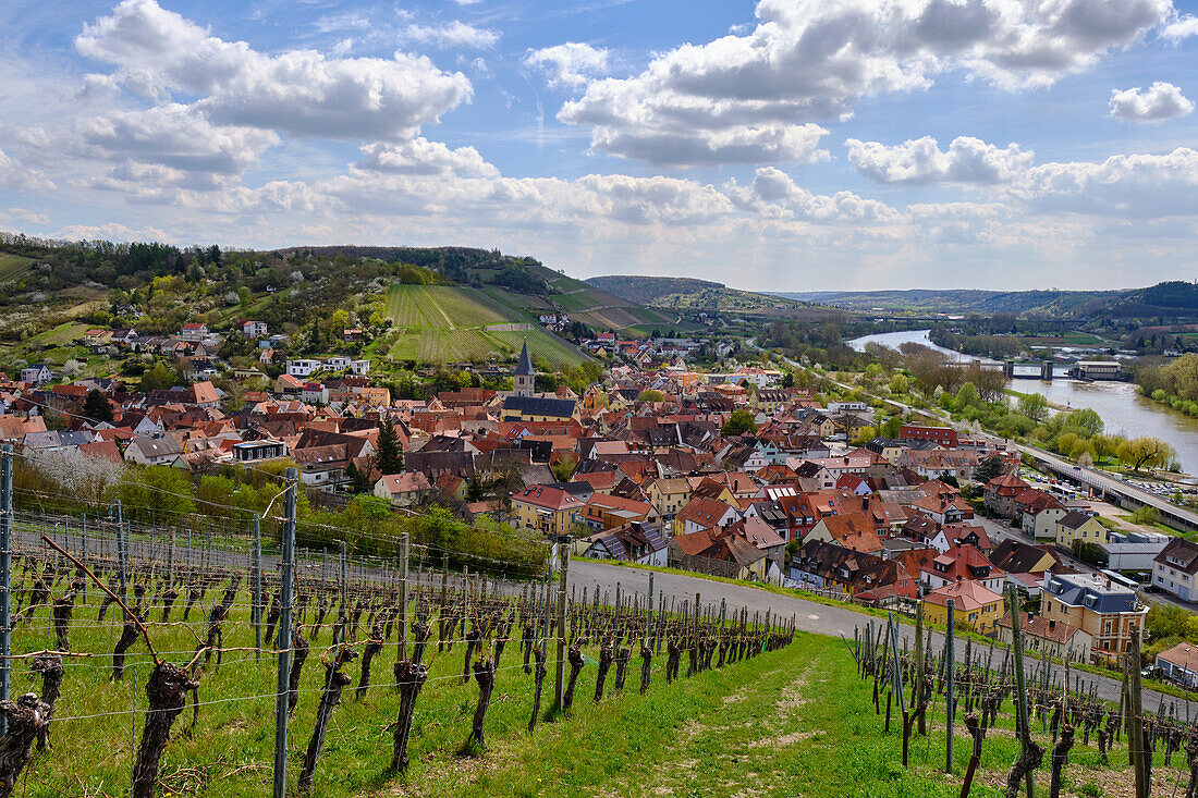 Blick von den Weinbergen auf den Winzerort Randersacker am Main bei Würzburg, Landkreis Würzburg, Unterfanken, Bayern, Deutschland