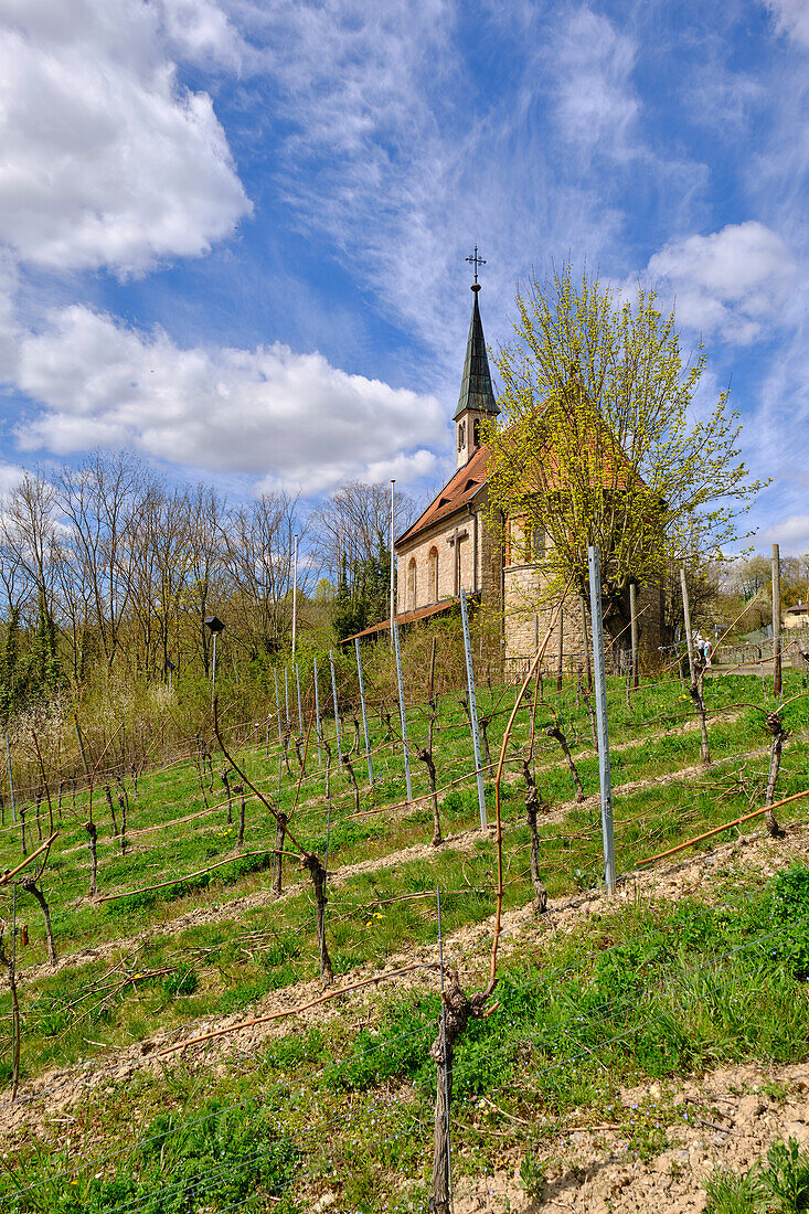 Maria-Schmerz-Kapelle im Winzerort Randersacker am Main bei Würzburg, Landkreis Würzburg, Unterfanken, Bayern, Deutschland