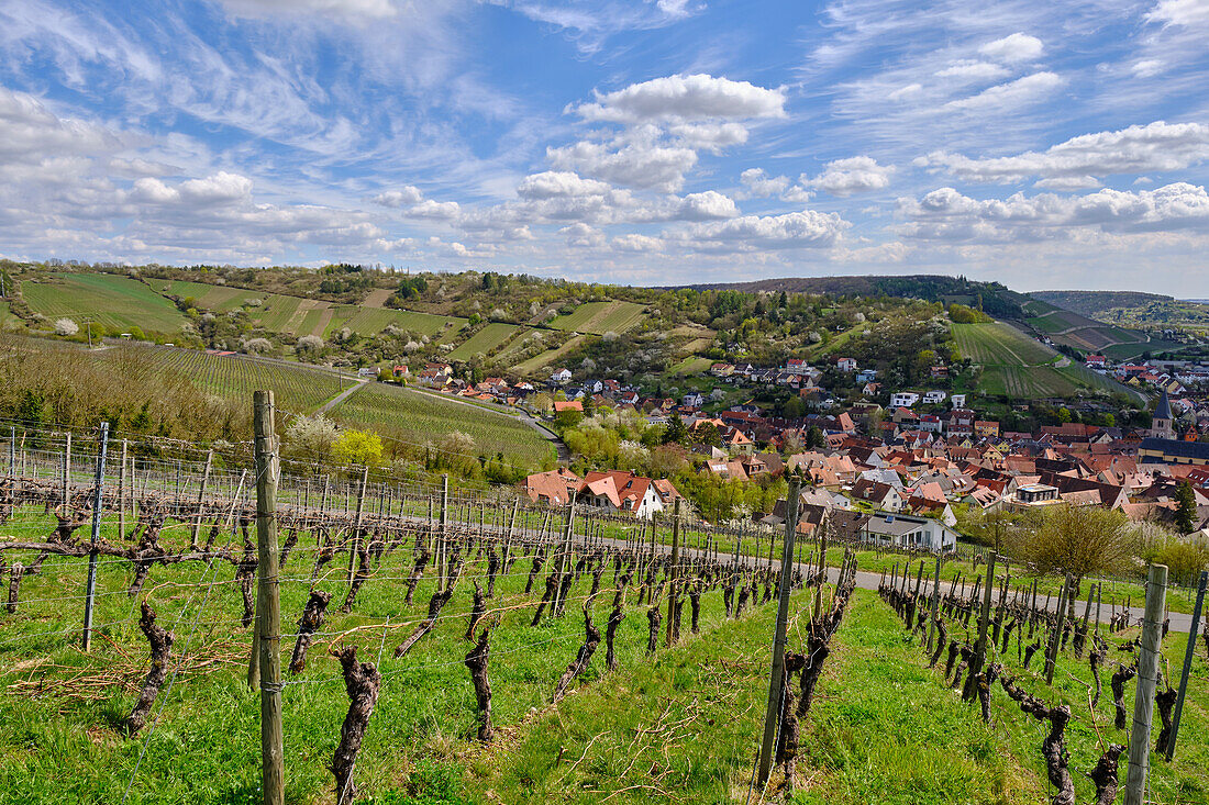 Maria-Schmerz-Kapelle im Winzerort Randersacker am Main bei Würzburg, Landkreis Würzburg, Unterfanken, Bayern, Deutschland