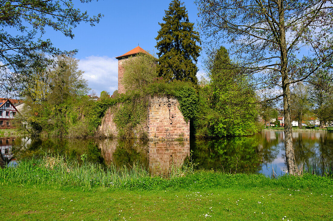 Wasserburg or Alte Burg in the market town of Burgsinn im Sinntal, Main-Spessart district, Lower Franconia, Franconia, Bavaria, Germany