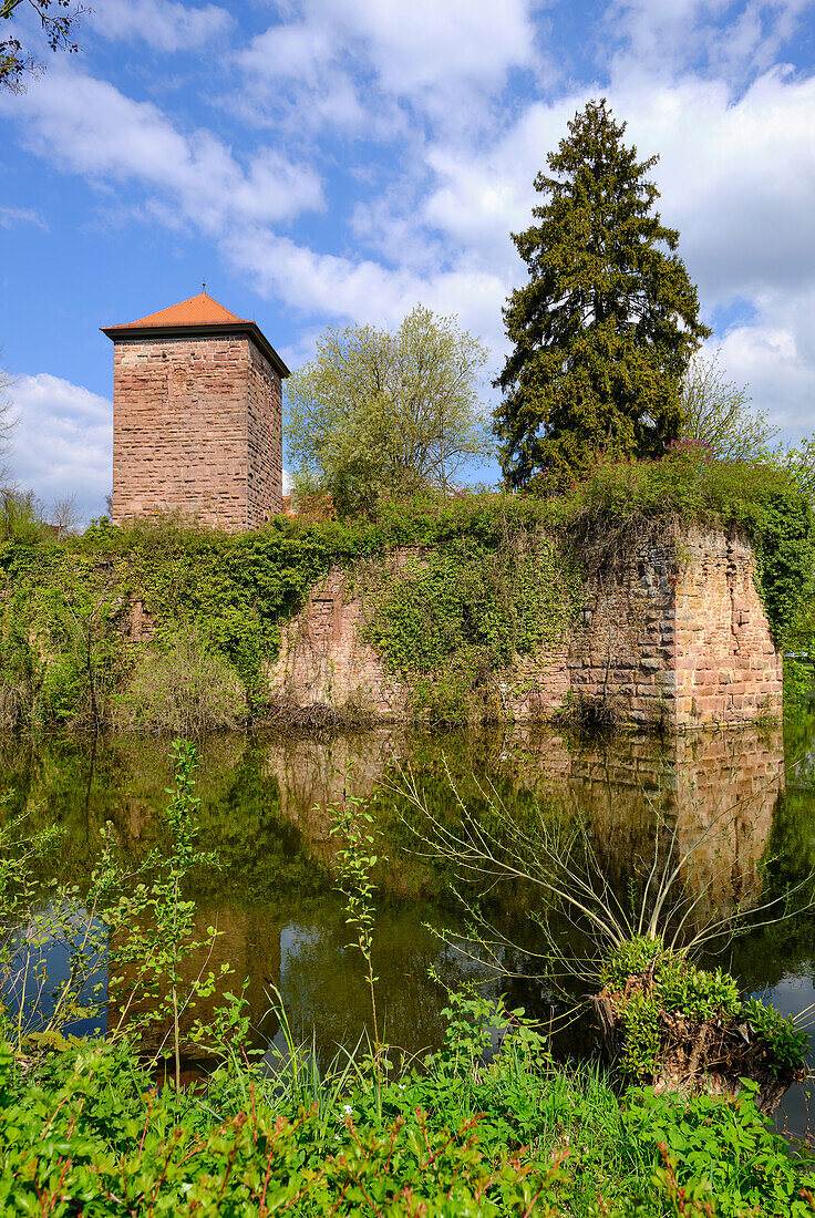 Wasserburg oder Alte Burg in der Marktgemeinde Burgsinn im Sinntal, Landkreis Main-Spessart, Unterfranken, Franken, Bayern, Deutschland