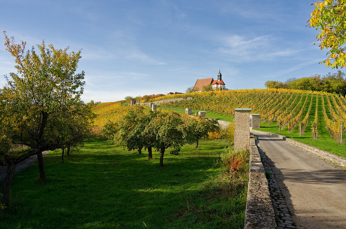 Maria im Weingarten und Weinberge bei Volkach, Unterfanken, Bayern, Deutschland