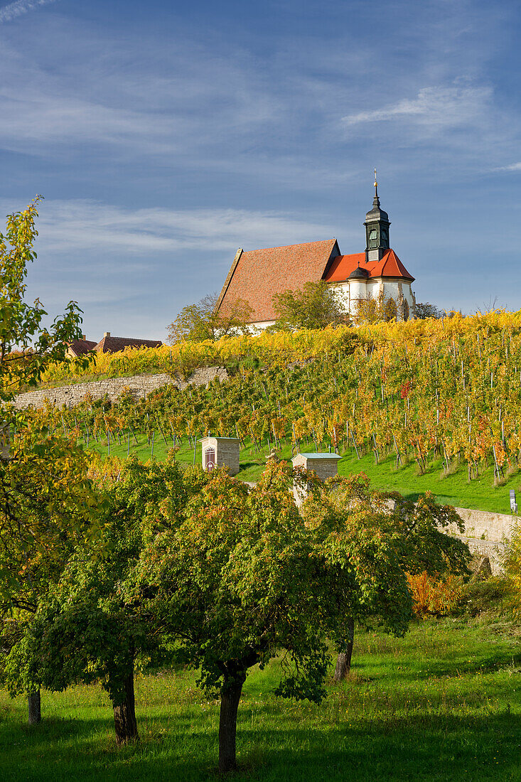 Maria im Weingarten and vineyards near Volkach, Lower Franconia, Bavaria, Germany