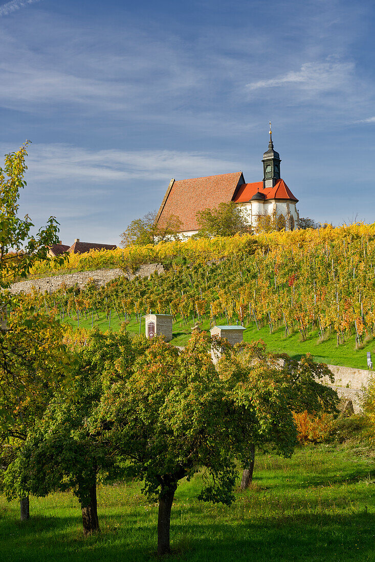 Maria im Weingarten und Weinberge bei Volkach, Unterfanken, Bayern, Deutschland