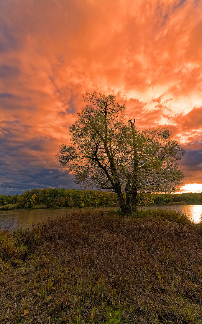 Evening light at the Reutsee near Sulzdorf at the Lederhecke, Rhön-Grabfeld district, Lower Franconia, Bavaria, Germany