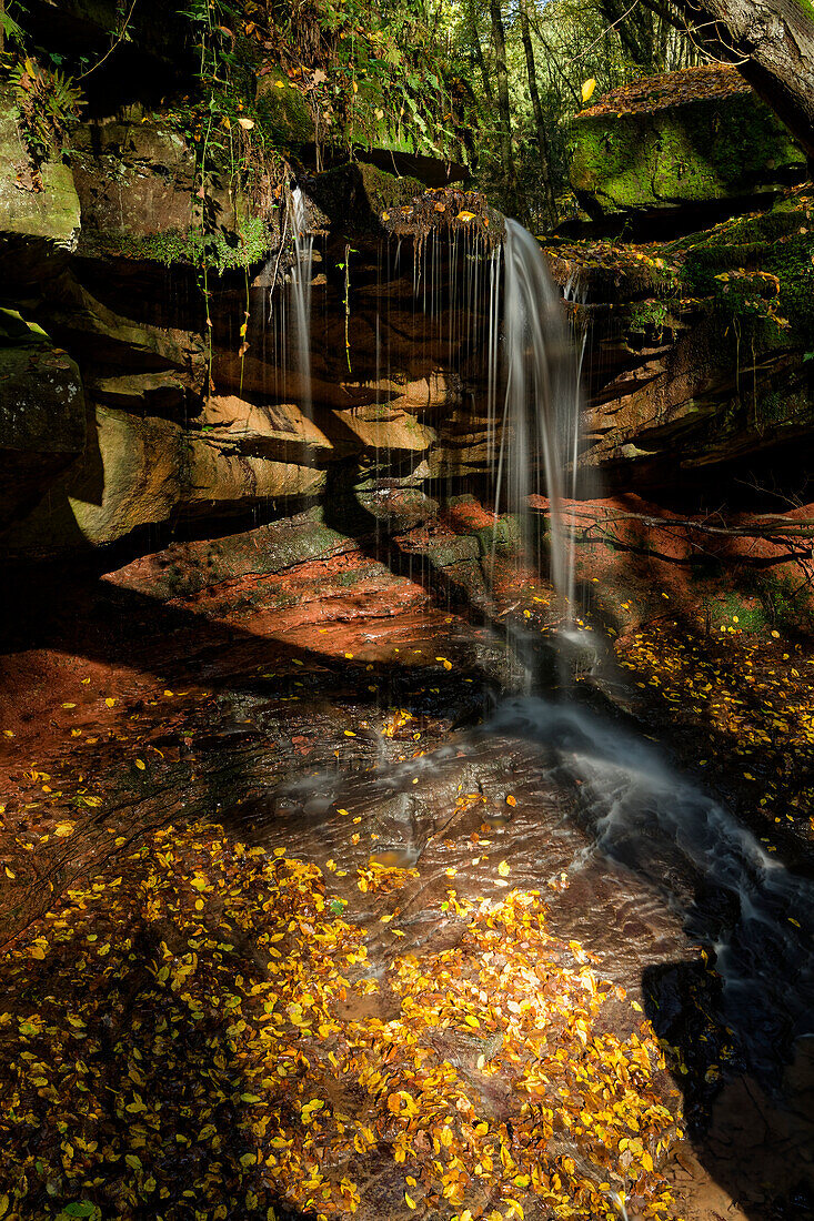 The Trettstein waterfall of the Eidenbach near Gräfendorf in the Spessart Nature Park, Main-Spessart district, Franconia, Lower Franconia, Bavaria, Germany