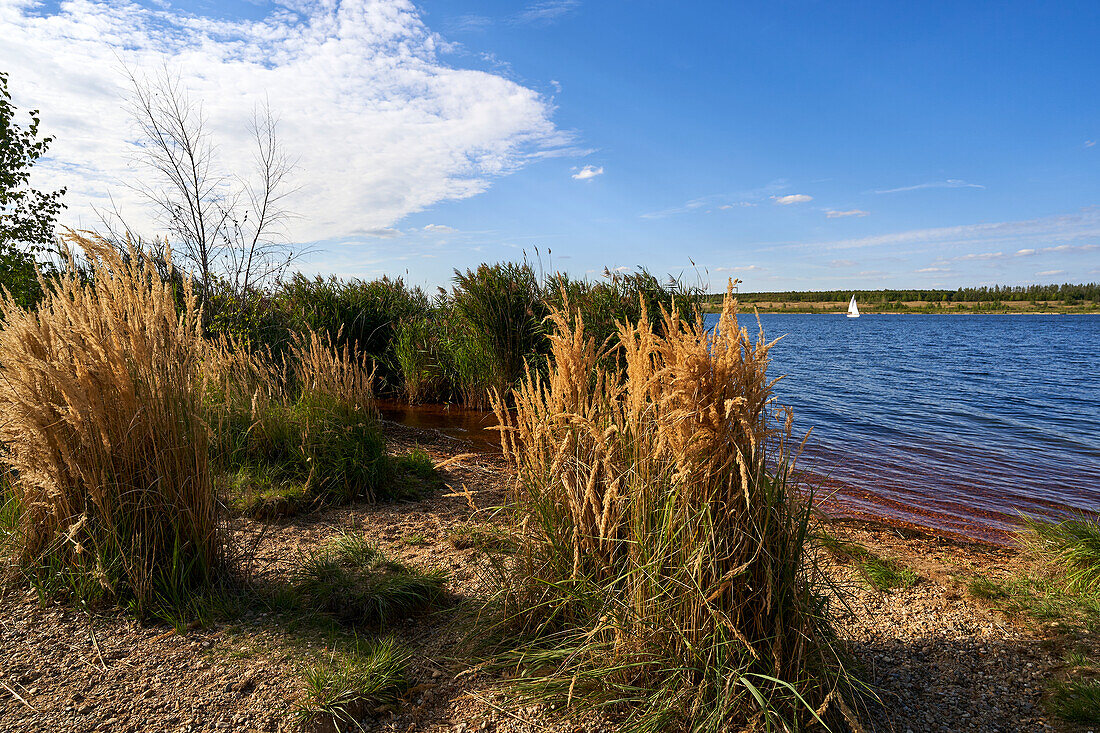 Zwenkauer See the largest lake in the Leipzig Neuseenland, town of Zwenkau, district of Leipzig, Saxony, Germany