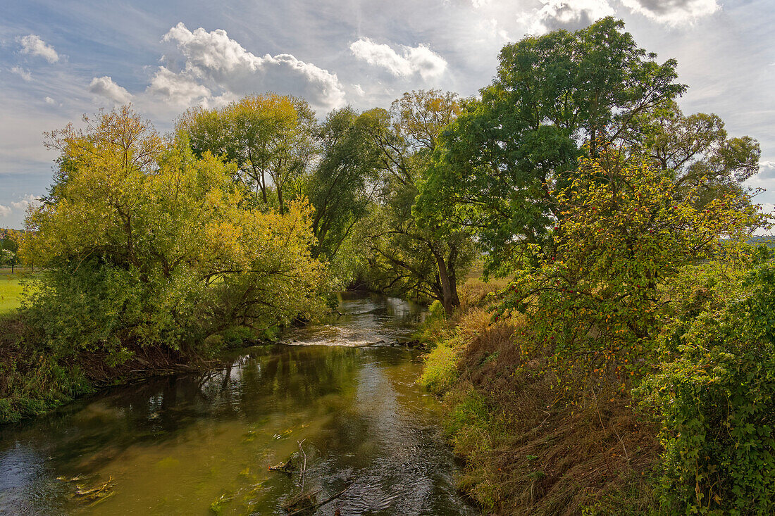 The Franconian Saale near Bad Neustadt, Rhön-Grabfeld district, Lower Franconia, Franconia, Bavaria, Germany