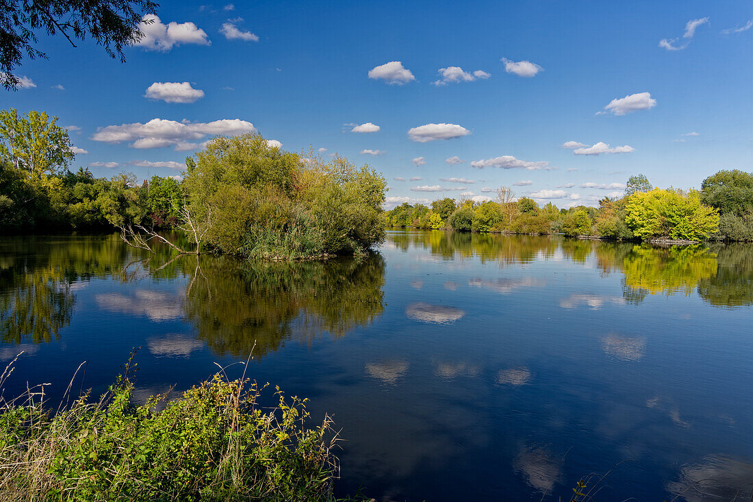 Small lakes on the Main near Sulzfeld am Main, district of Kitzingen, Lower Franconia, Franconia, Bavaria, Germany