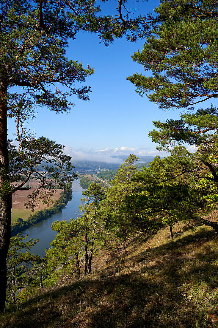 Grainberg-Kalbenstein am Main nature reserve near Karlstadt, Main-Spessart district, Lower Franconia, Bavaria, Germany