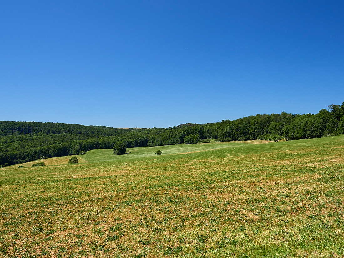 Landschaft im NSG „Hohe Rhön" zwischen Schwarzen Moor und Eisgraben, Biosphärenreservat Rhön, Unterfranken, Franken, Bayern, Deutschland