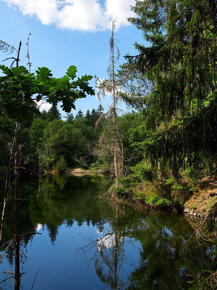The Silbersee at the Rother Kuppe, Rhön Biosphere Reserve, Lower Franconia, Franconia, Bavaria, Germany