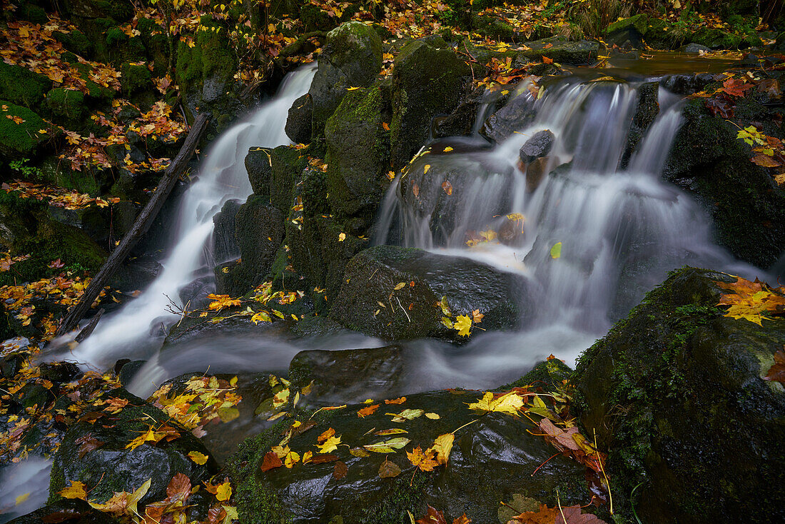 The Teufelsmühle waterfall of the Schwarzbach am Holzberghof above the town of Bischofsheim adRhön, Rhön biosphere reserve, Rhön-Grabfeld district, Lower Franconia, Franconia, Bavaria, Germany