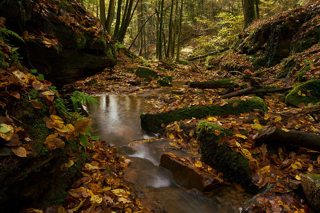 The Trettstein waterfall of the Eidenbach near Gräfendorf in the Spessart Nature Park, Main-Spessart district, Franconia, Lower Franconia, Bavaria, Germany