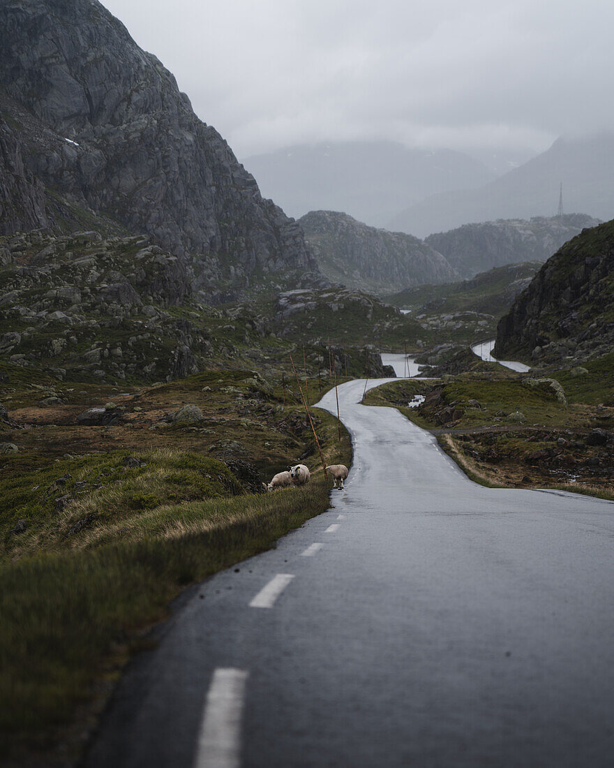 Abenteuerliche Straßen durch Norwegens Hochebene, Norwegen, Skandinavien, Nordeuropa