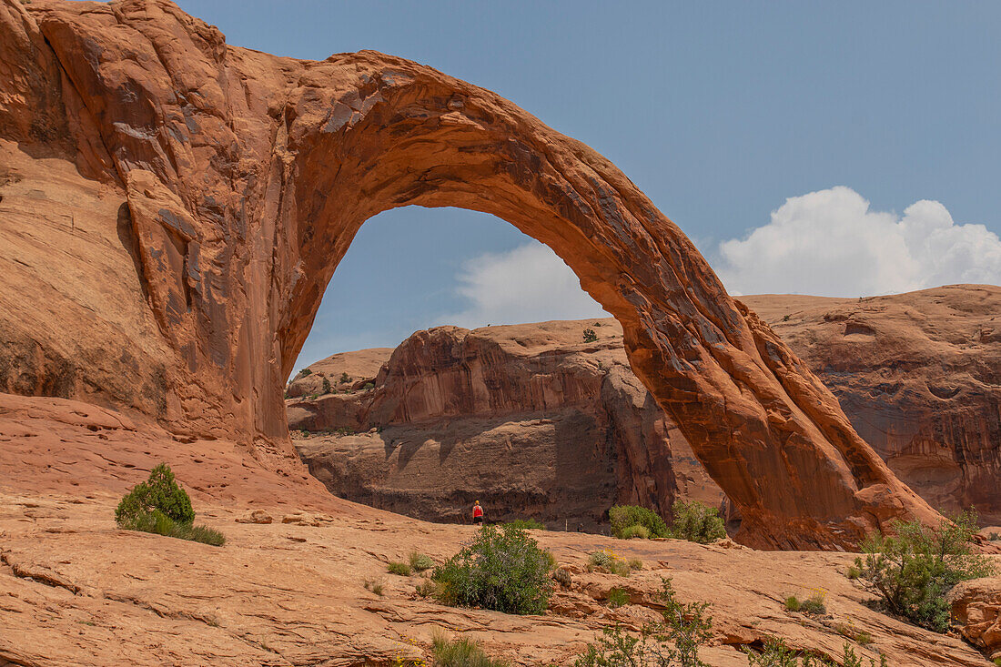 Eine Person, sehr klein steht unter großem Felsbogen vor blauem Himmel. Corona Arch, Utah, USA