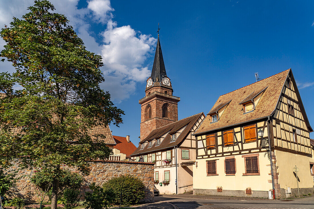 The Church of the Assumption or Notre-Dame de l'Assomption and half-timbered structure in Bergheim, Alsace, France