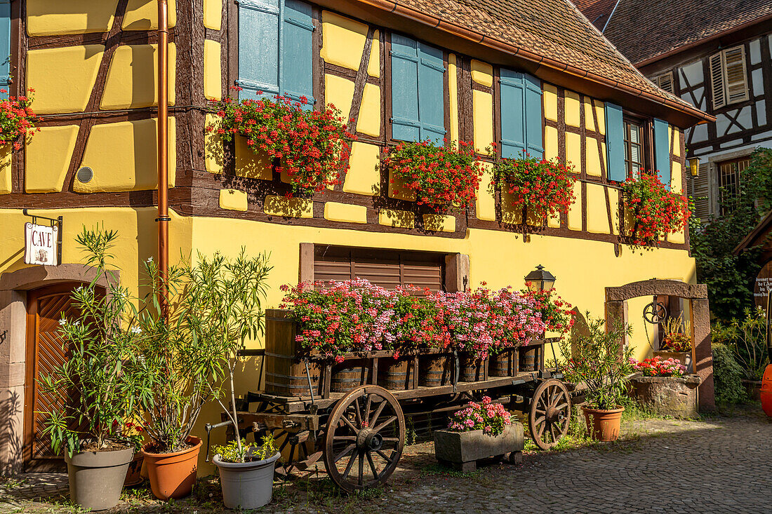 Fachwerkhaus mit Blumenschmuck und Karren mit Weinfässern in Eguisheim, Elsass, Frankreich \n