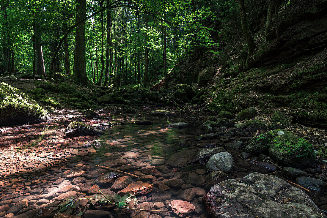 Stream bed in the Monbachtal, Bad Liebenzell, Black Forest, Baden-Württemberg, Germany