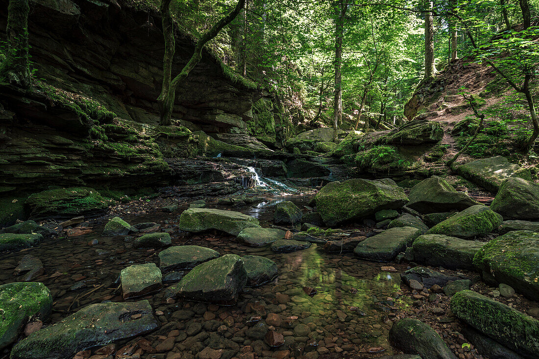 The Monbachschlucht in the Monbachtal, Bad Liebenzell, Black Forest, Baden-Württemberg, Germany