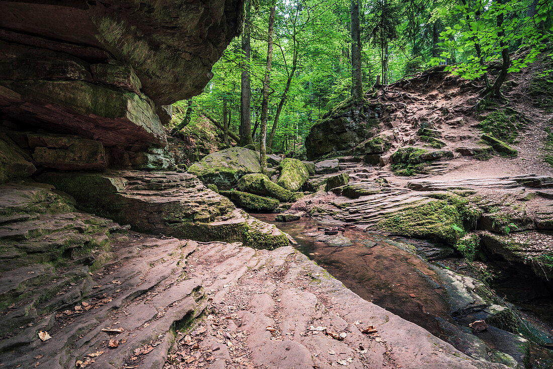 Blick in die Monbachschlucht, Monbachtal, Bad Liebenzell, Schwarzwald, Baden-Württemberg, Deutschland