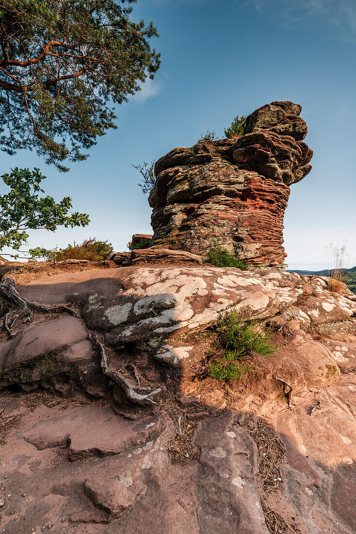 Buntsandstein der Geiersteine, Wernersberg, Palatinate Forest, Rhineland-Palatinate, Germany