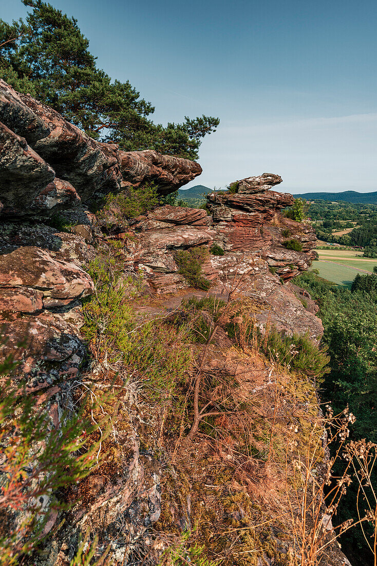 Seitlicher Blick auf die Geiersteine, Wernersberg, Pfälzerwald, Rheinland-Pfalz, Deutschland