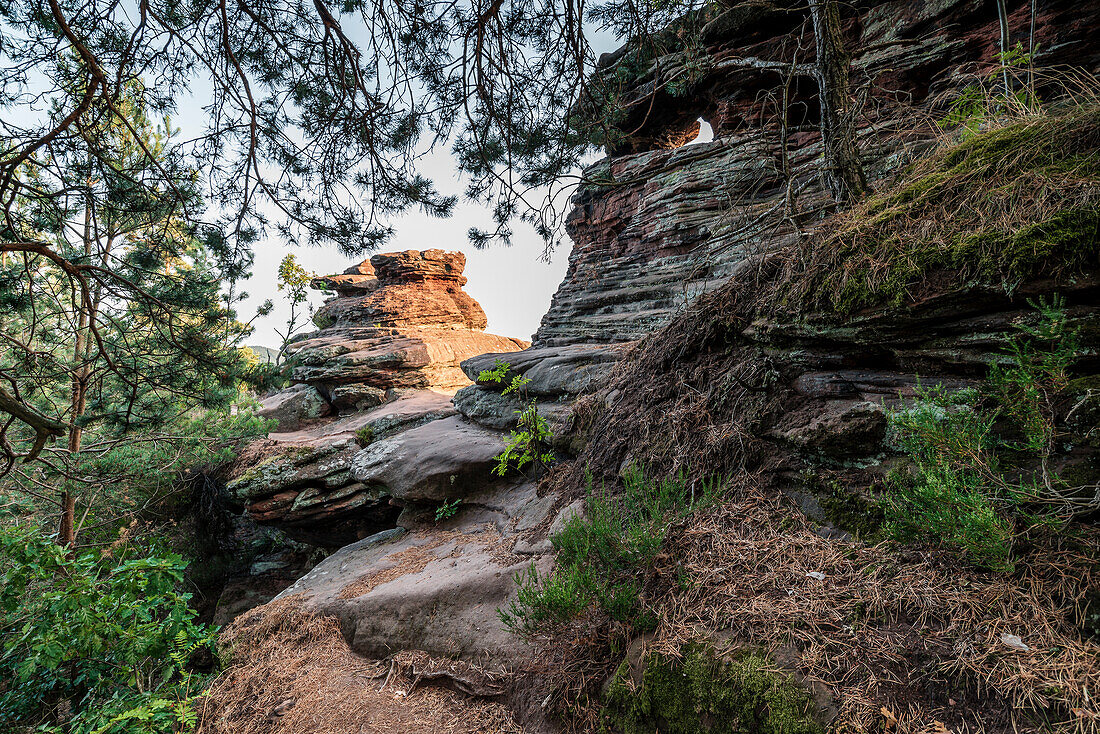 Path at Rötzenfels, Gossersweiler-Stein, Palatinate Forest, Rhineland-Palatinate, Germany