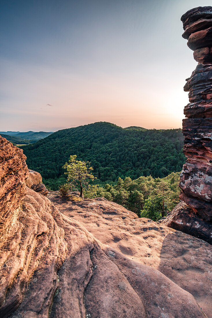 Aussicht auf den Pfälzerwald eingerahmt von Felsen, Rötzenfels, Gossersweiler-Stein, Pfälzerwald, Rheinland-Pfalz, Deutschland