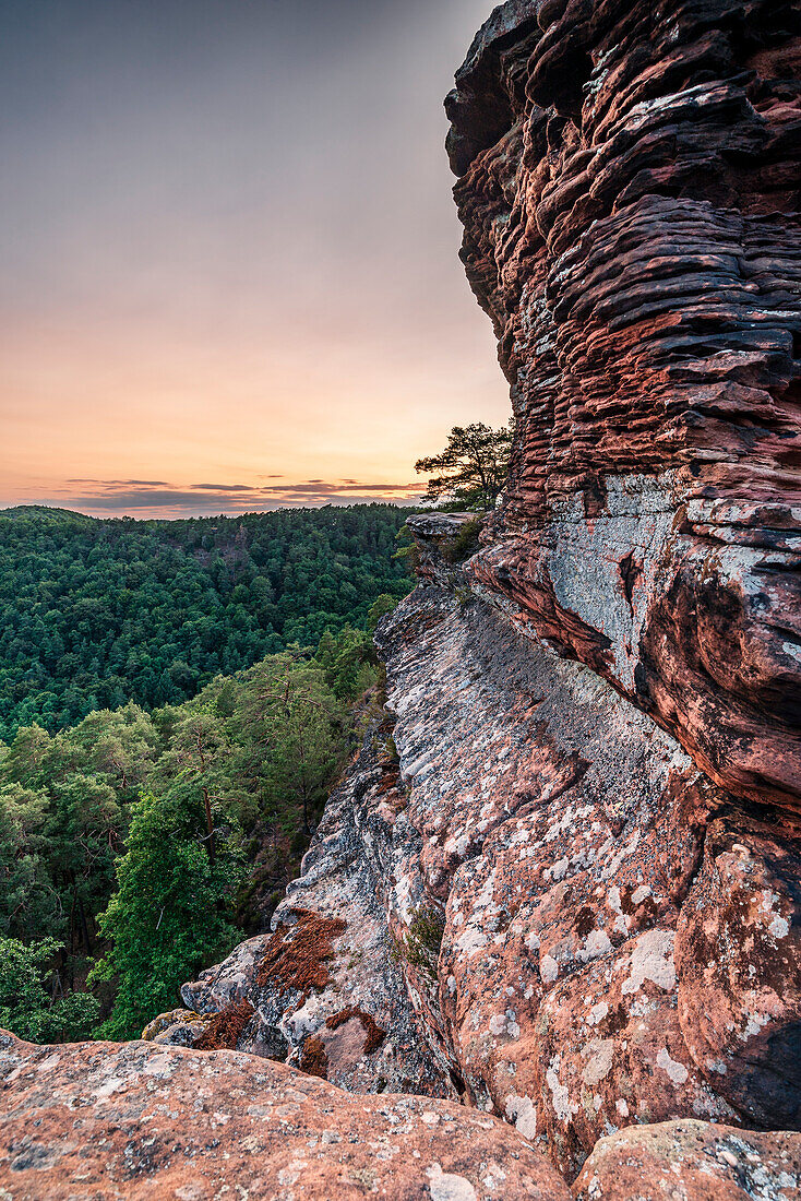 Sandstone wall at Rötzenfels, Gossersweiler-Stein, Palatinate Forest, Rhineland-Palatinate, Germany