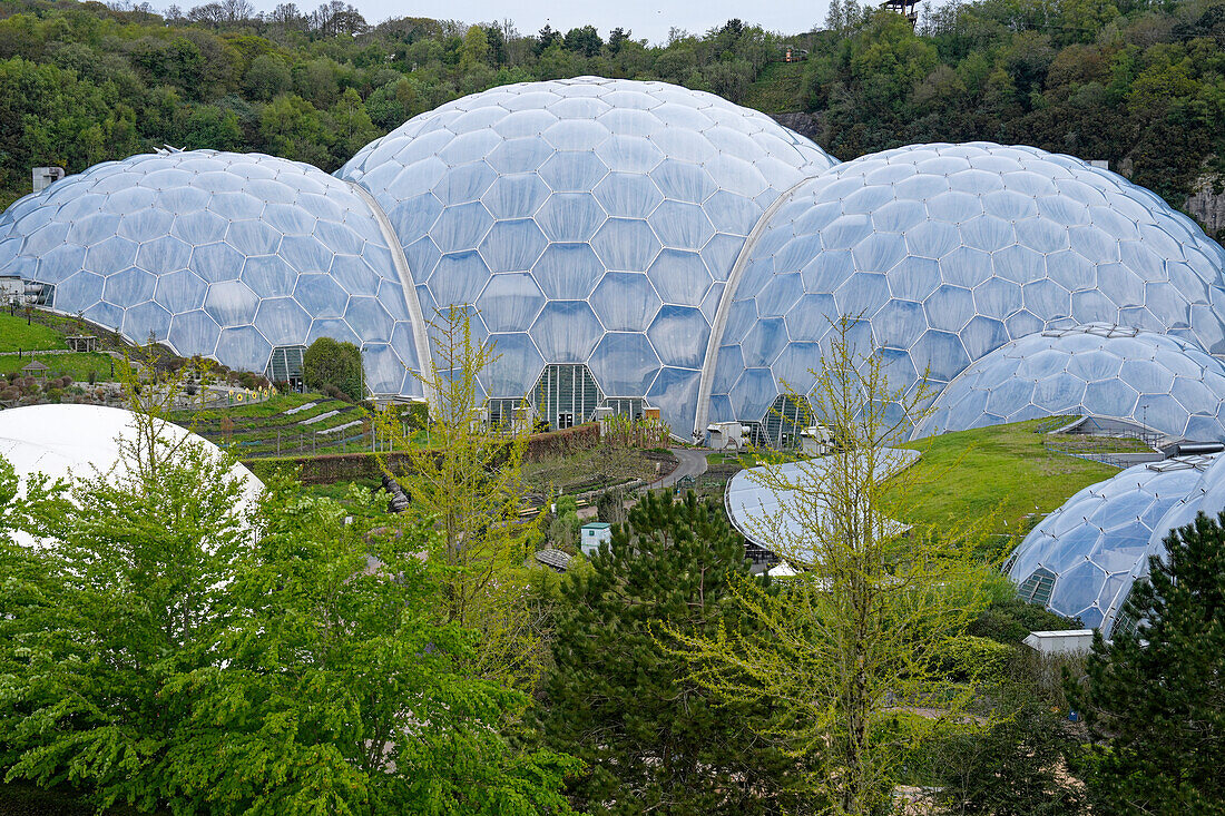 England, County Cornwall, Eden Project, botanical gardens