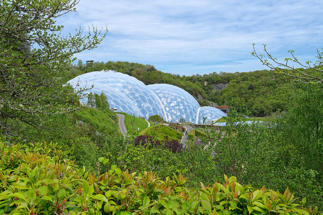 England, County Cornwall, Eden Project, botanical gardens