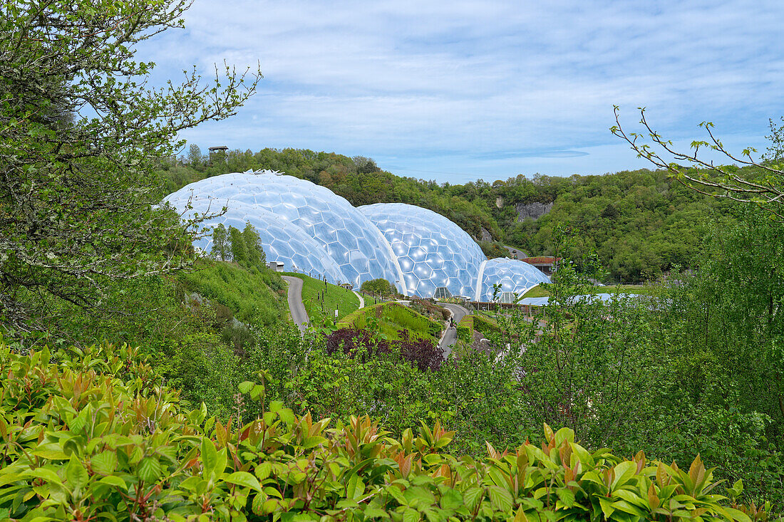 Großbritannien, England, Grafschaft Cornwall, Eden Project, Botanischer Garten mit Glaskuppeln