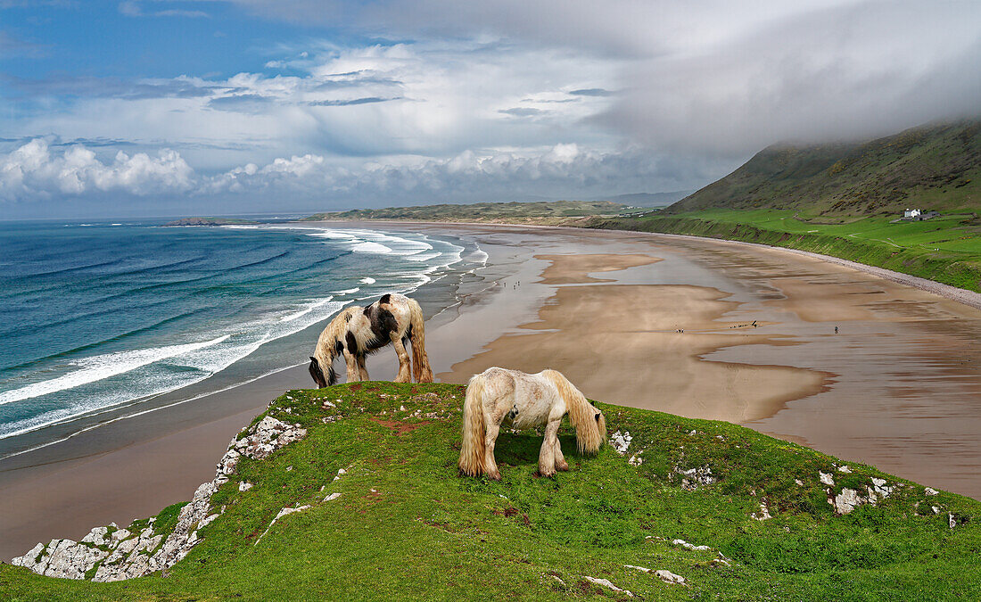 UK, Wales, Gower Peninsula, Rhossily beach