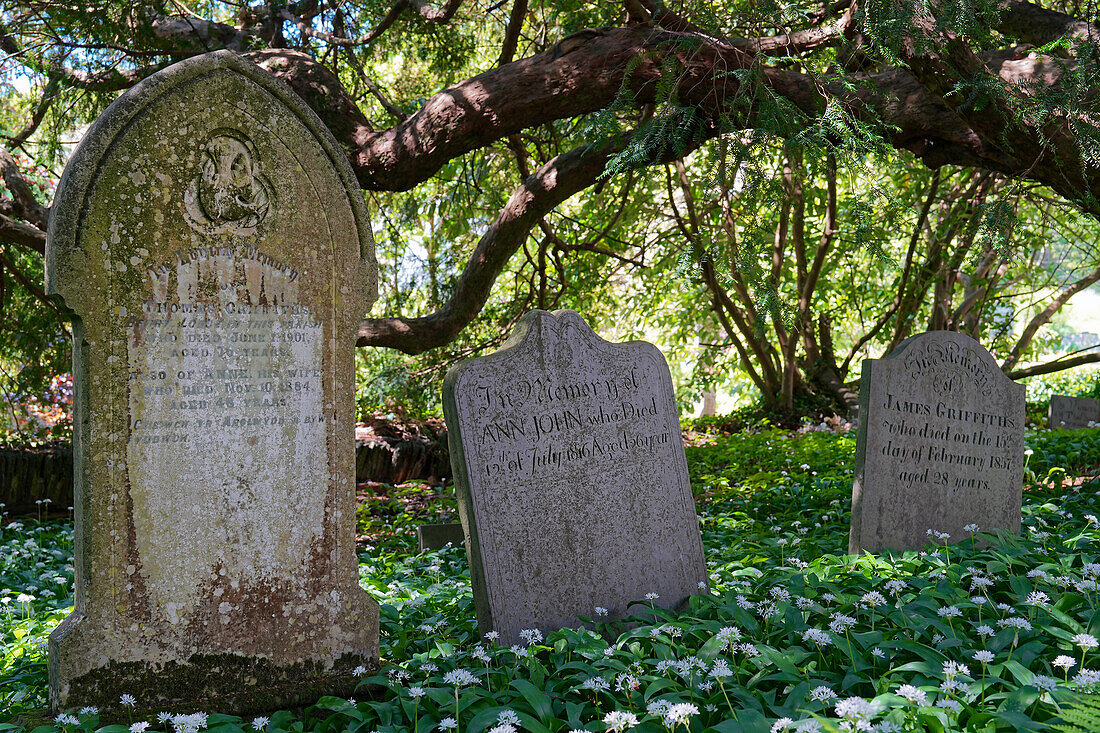 Großbritannien, Wales, Pembrokeshire, Kirche von Nevern, Friedhof