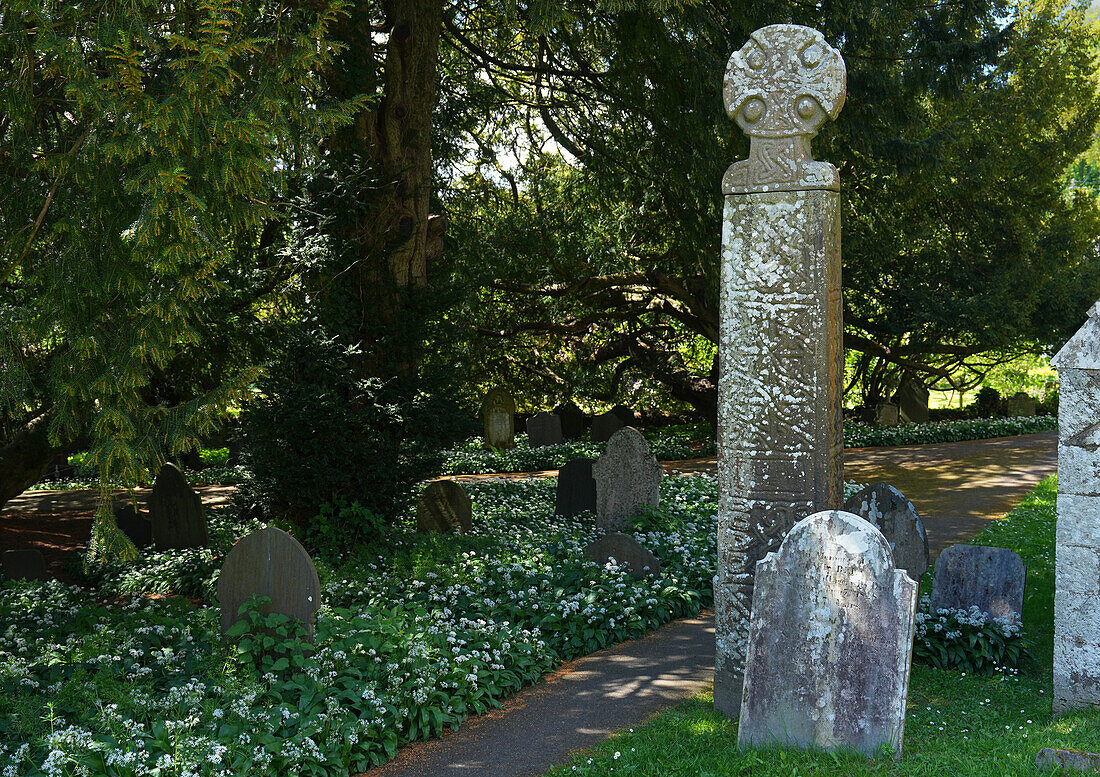 Great Britain, Wales, Pembrokeshire, Nevern, gravestones with high cross from the 10th/11th century century