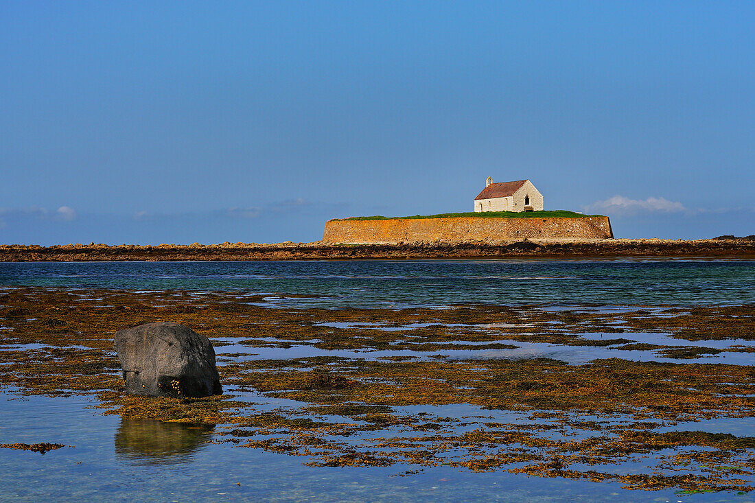 UK, North West Wales, Anglesey Island, Eglwys Cwyfan is a listed medieval church in Llangadwaladr. It is located on the small tidal island of Cribinau and can only be reached at low tide.