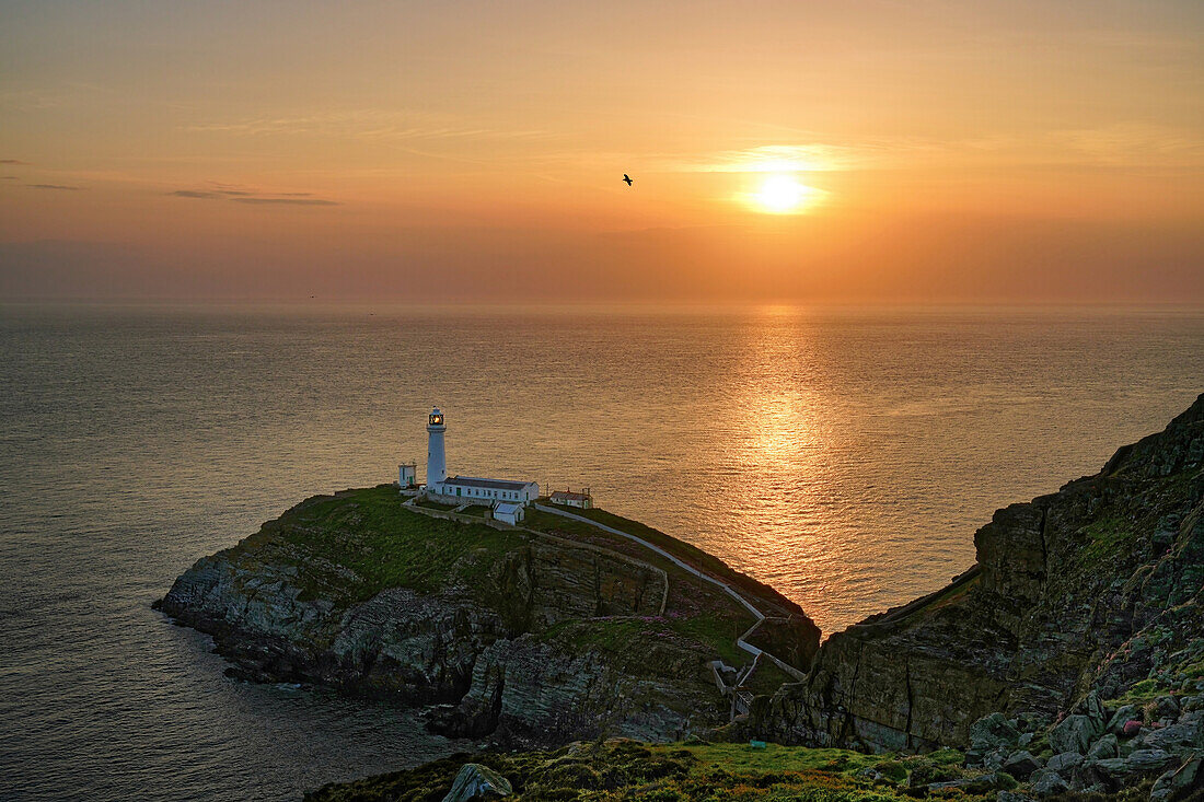 Großbritannien, Nordwest Wales, Insel Anglesey, 'South Stack Lighthouse' auf der kleinen Felseninsel South Stack, bei Sonnenuntergang