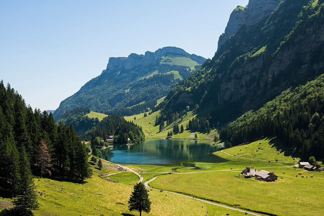 Steile Berge und See, Seealpsee, Wasserauen, Alpstein, Appenzeller Alpen, Kanton Appenzell Innerrhoden, Schweiz